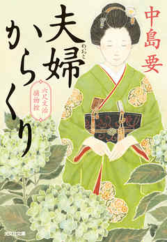 夫婦からくり～六尺文治捕物控～