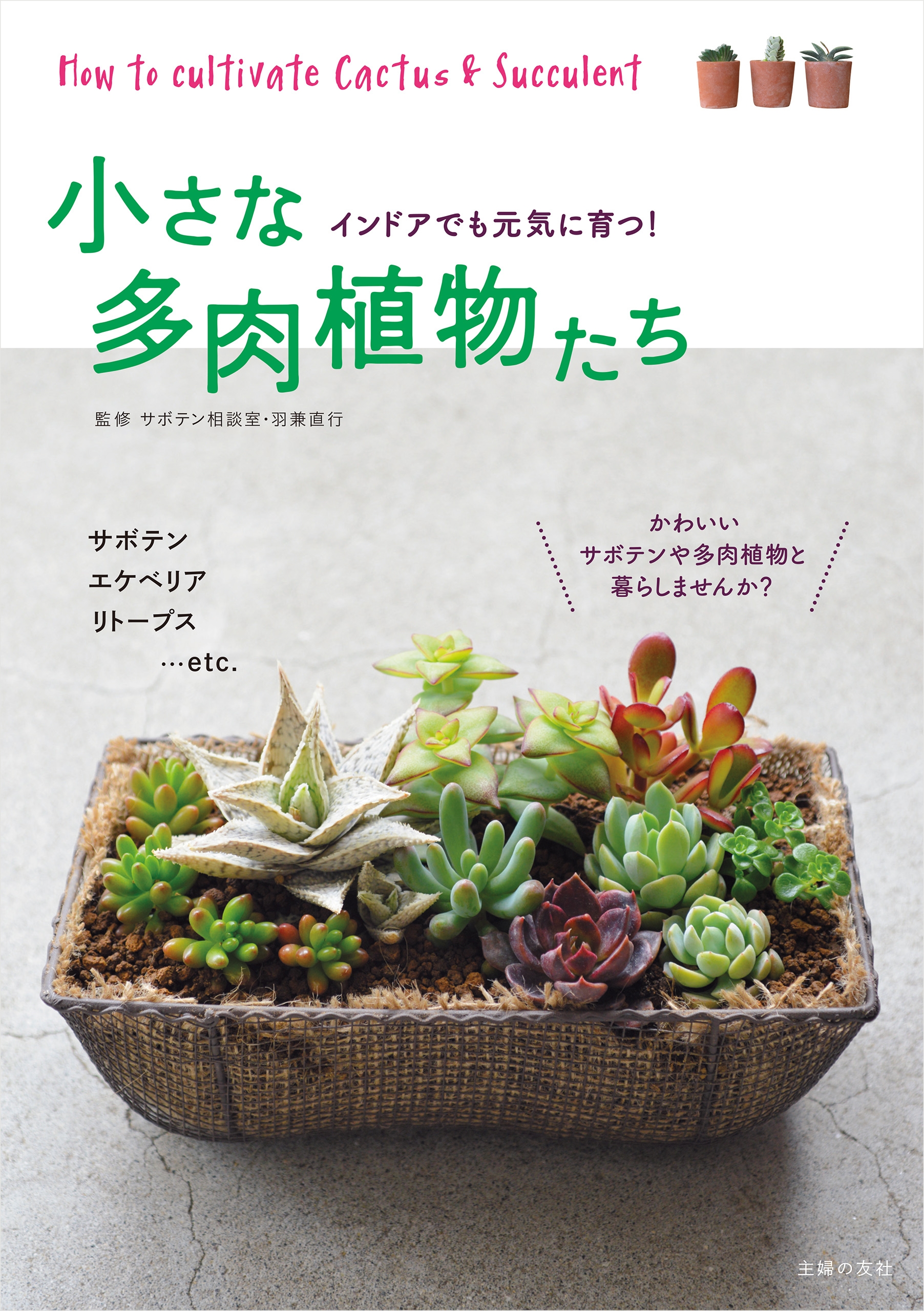 はじめての多肉植物ガーデン 小さなスペースで楽しむ 羽兼直行 監修 - 盆栽