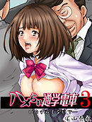 ハメられ通学電車-いたずらしないで…-(3)