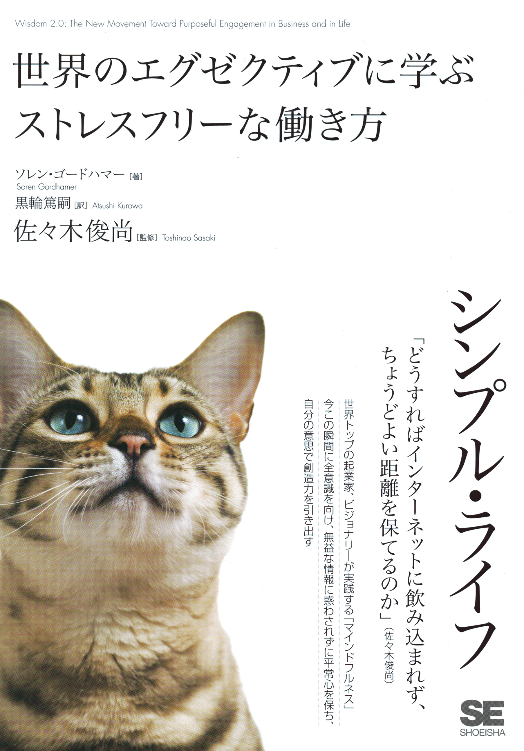 シンプル ライフ 世界のエグゼクティブに学ぶストレスフリーな働き方 ソレン ゴードハマー 黒輪篤嗣 漫画 無料試し読みなら 電子書籍ストア ブックライブ