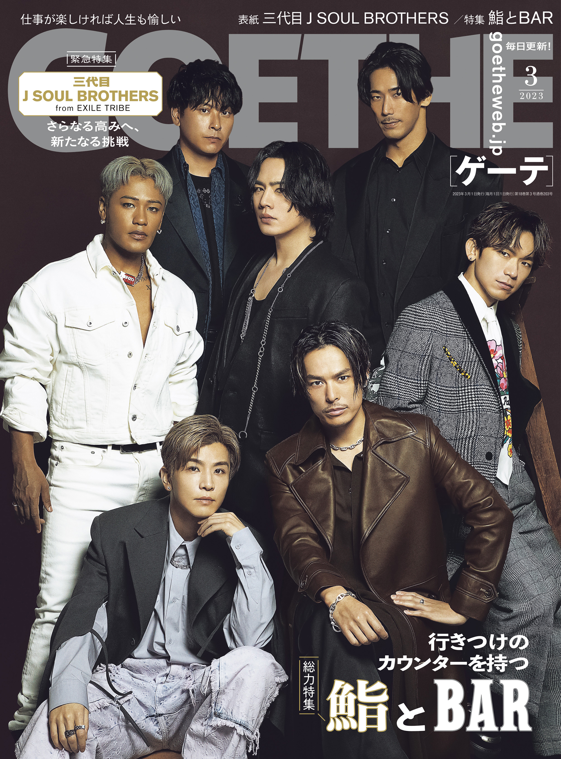 三代目 J Soul Brothers 雑誌付録 - アート