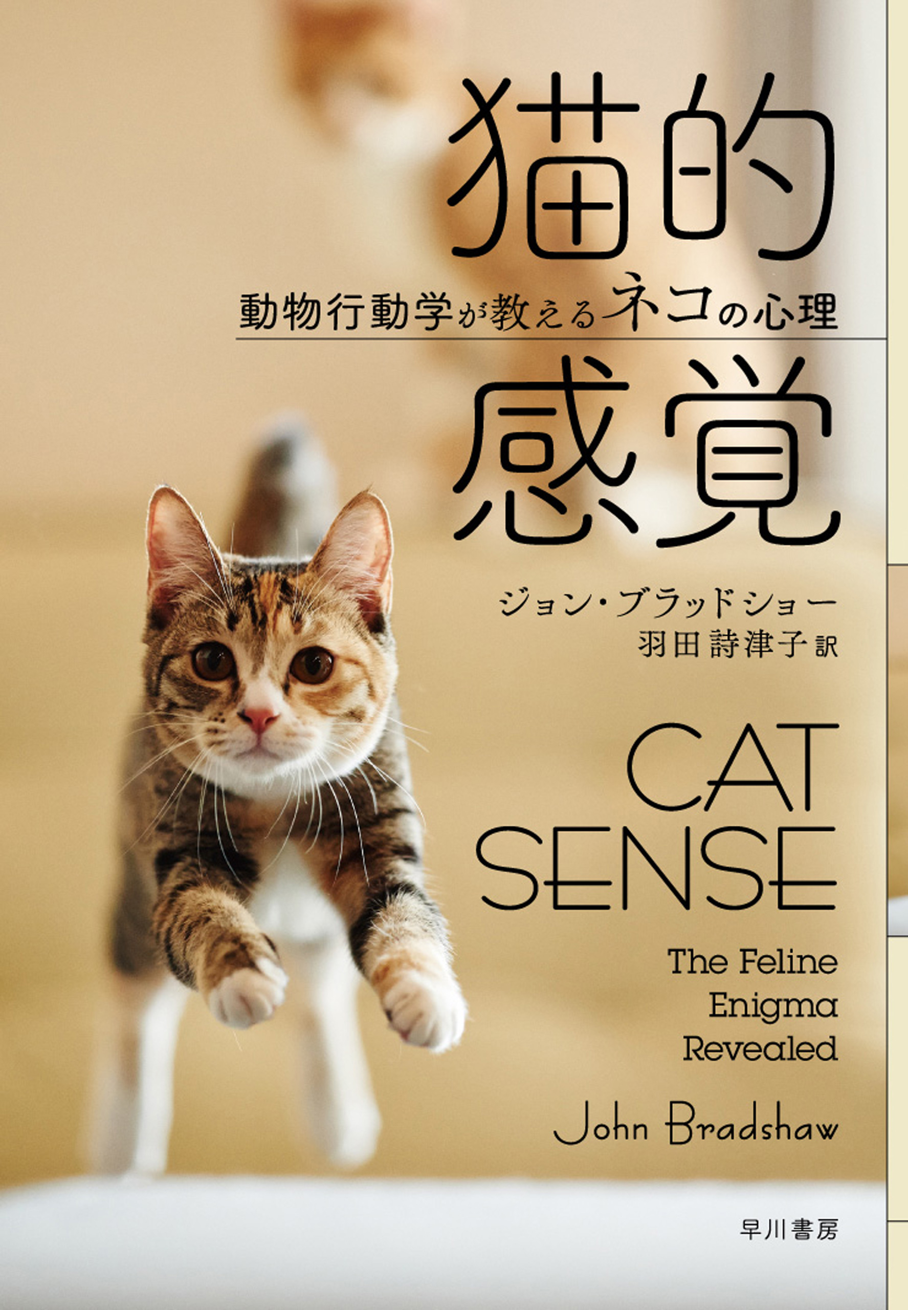 猫的感覚 動物行動学が教えるネコの心理 漫画 無料試し読みなら 電子書籍ストア ブックライブ