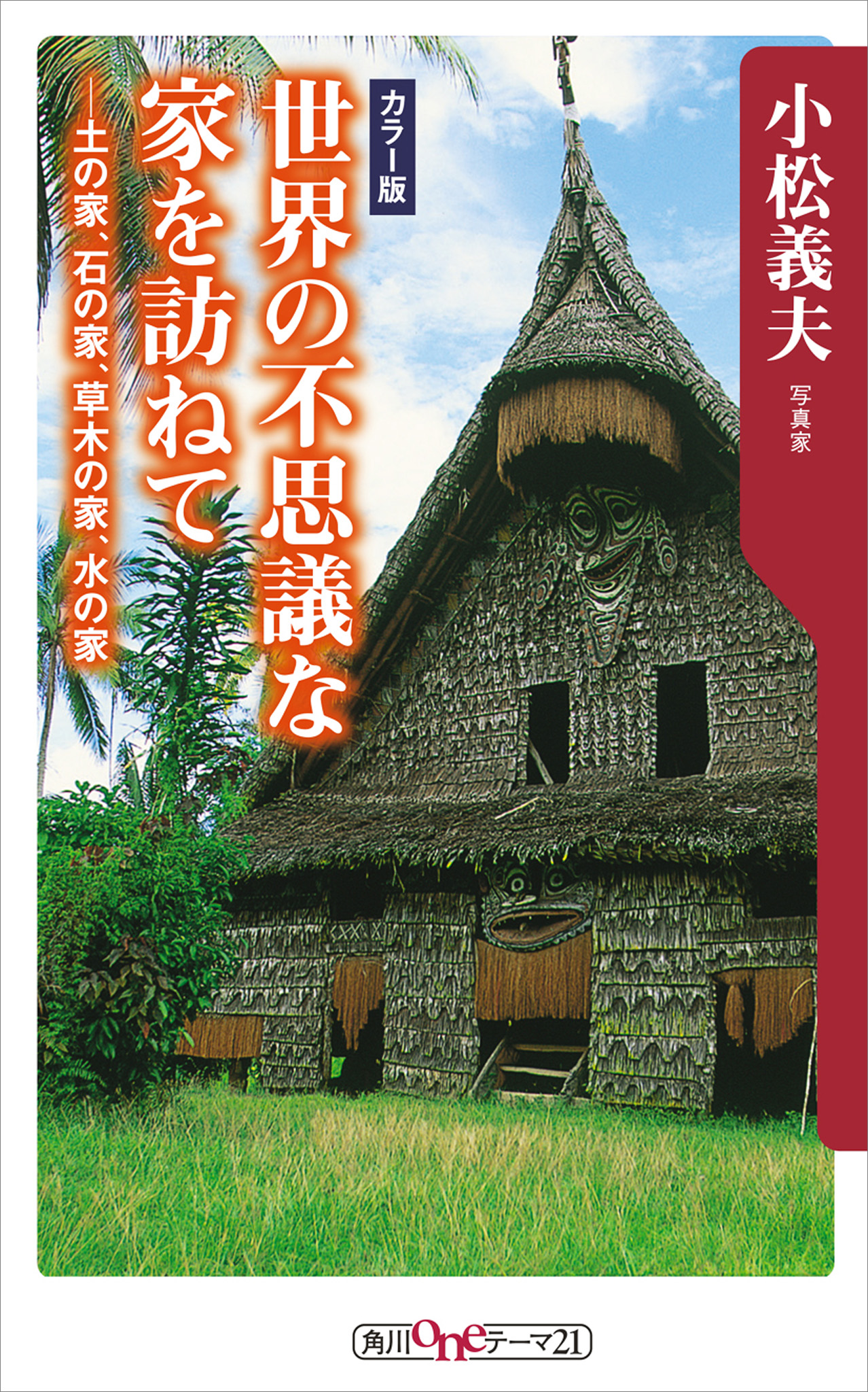 世界の不思議な家を訪ねて 土の家 石の家 草木の家 水の家 漫画 無料試し読みなら 電子書籍ストア ブックライブ