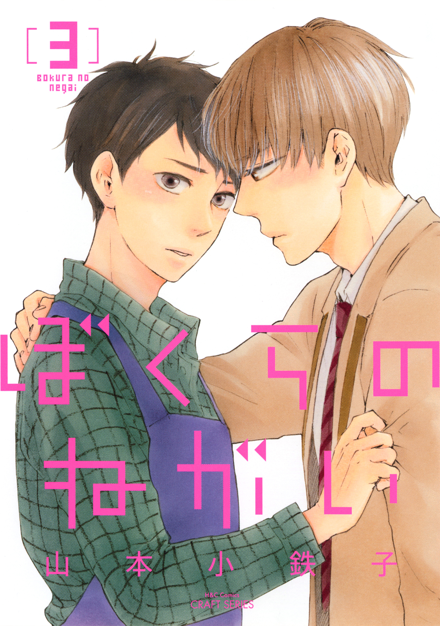 ぼくらのねがい3 【電子限定おまけマンガ付】（完結・最終巻