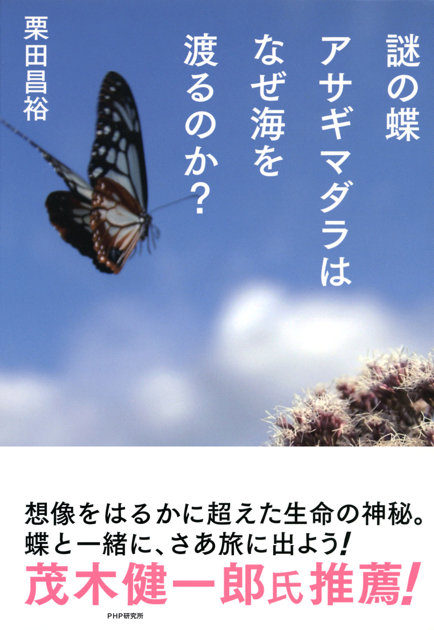 謎の蝶アサギマダラはなぜ海を渡るのか？ - 栗田昌裕 - 漫画・ラノベ