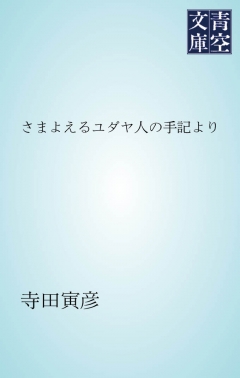 さまよえるユダヤ人の手記より 漫画 無料試し読みなら 電子書籍ストア Booklive