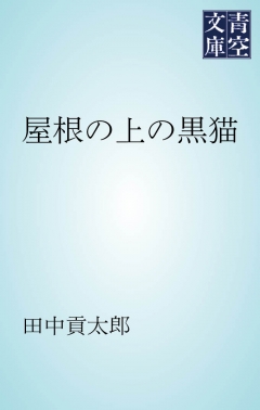 屋根の上の黒猫