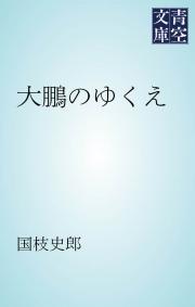 大鵬のゆくえ