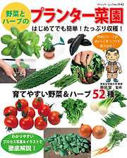 野菜とハーブのプランター菜園