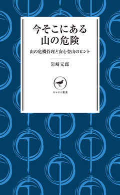 ヤマケイ新書 今そこにある山の危険