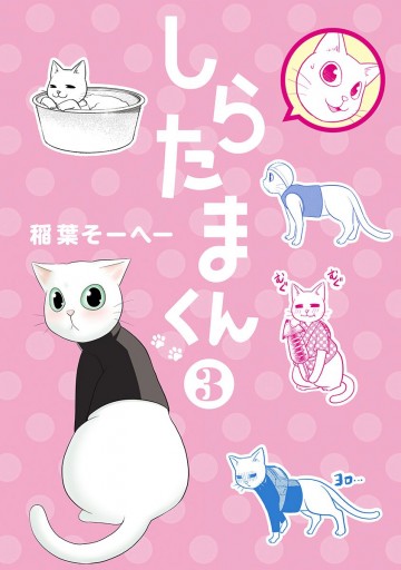 しらたまくん 3 稲葉そーへー 漫画 無料試し読みなら 電子書籍ストア ブックライブ しらたまくん 3 稲葉そーへー 漫画 無料試し読みなら 電子書籍ストア ブックライブ