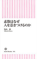 素数はなぜ人を惹きつけるのか