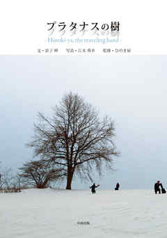 プラタナスの樹