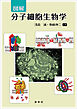 図解 分子細胞生物学