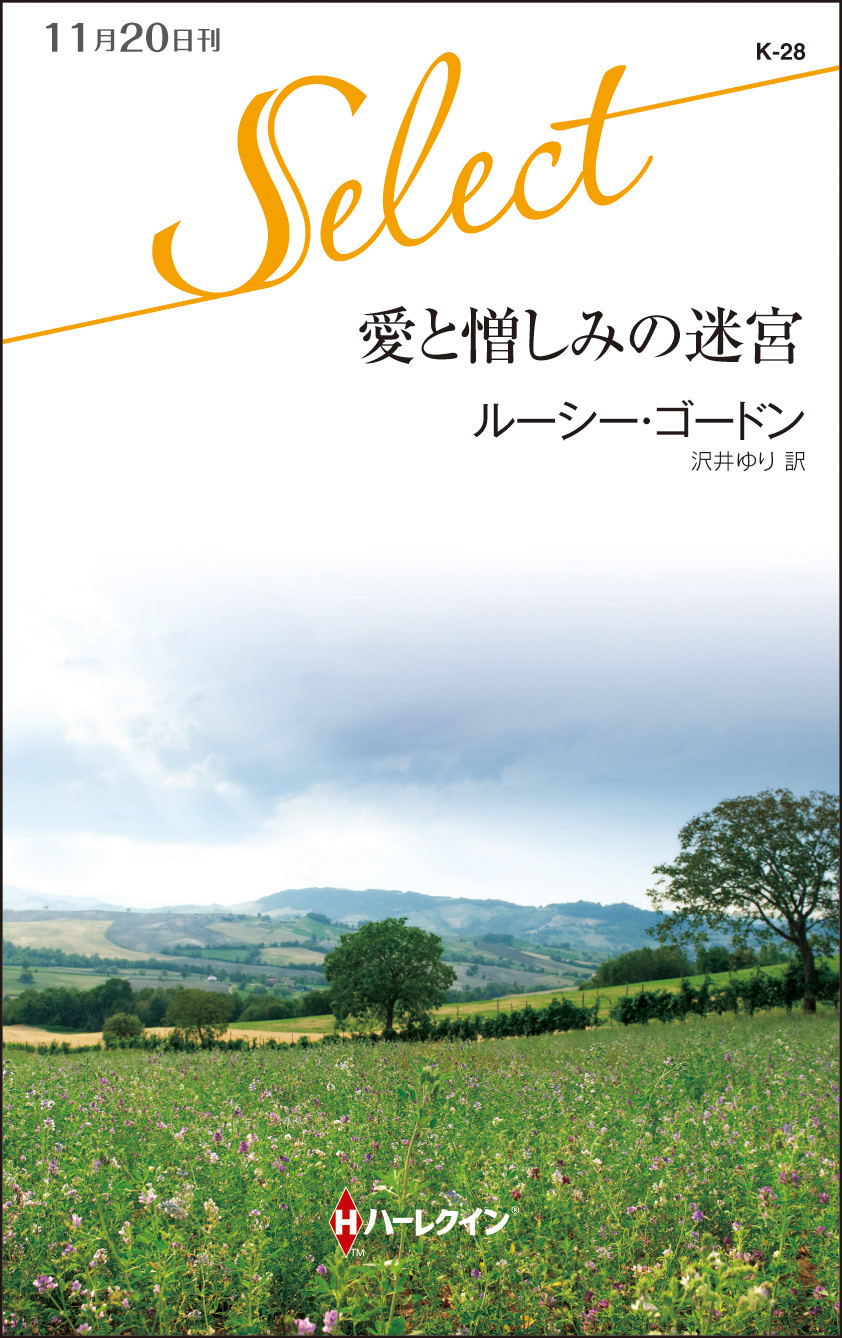 愛と憎しみの迷宮 漫画 無料試し読みなら 電子書籍ストア Booklive