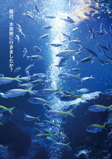 水族館で働くことになりました 漫画 無料試し読みなら 電子書籍ストア ブックライブ 水族館で働くことになりました 漫画 無料試し読みなら 電子書籍ストア ブックライブ