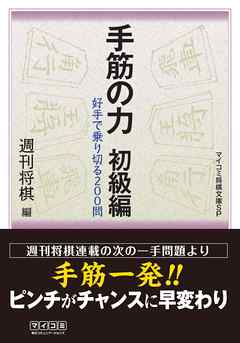 手筋の力 初級編