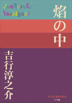 P+D BOOKS　焔の中