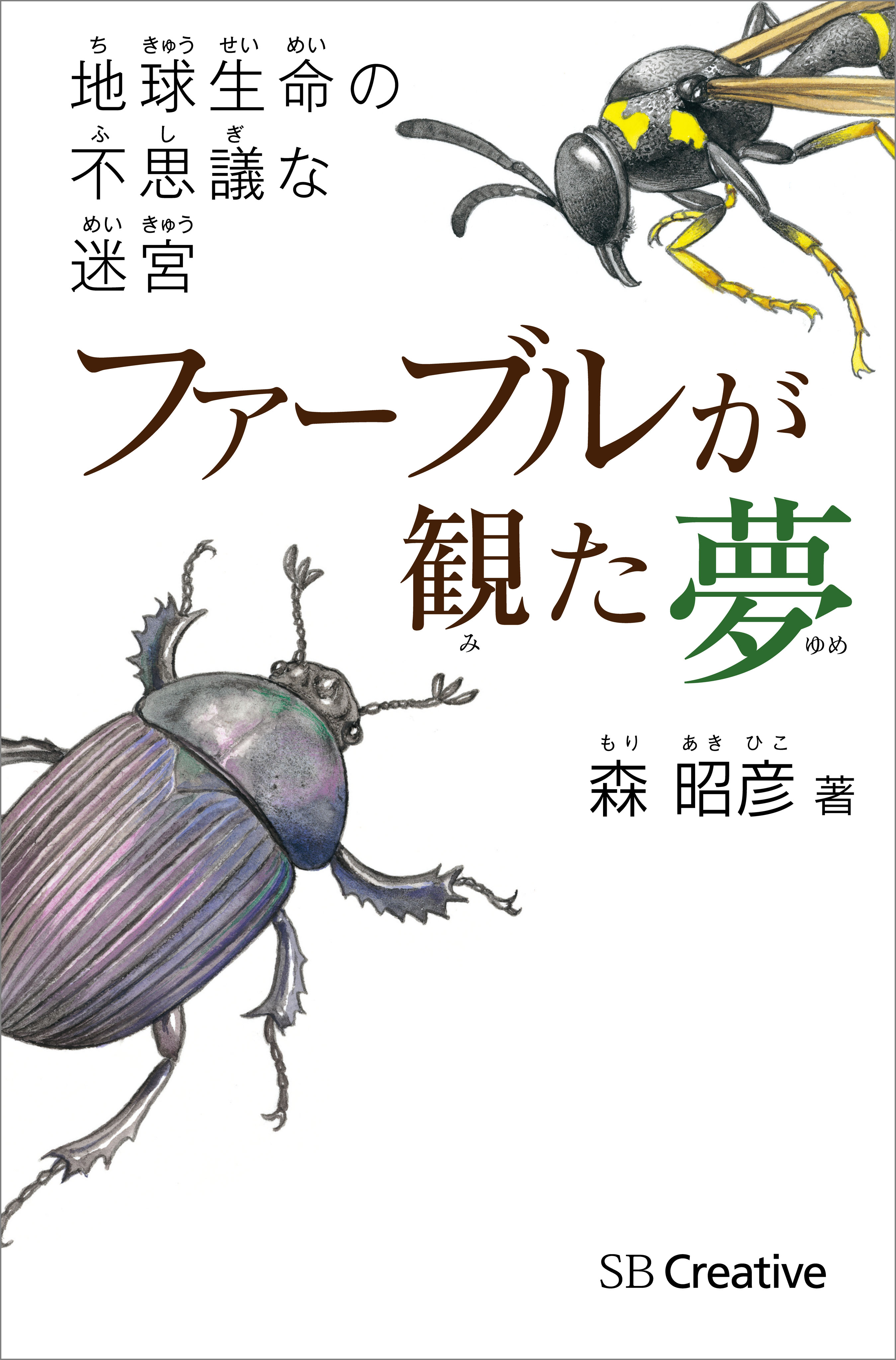 印象のデザイン 365日昆虫なぜなぜ事典