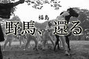 野馬、還る　～福島～