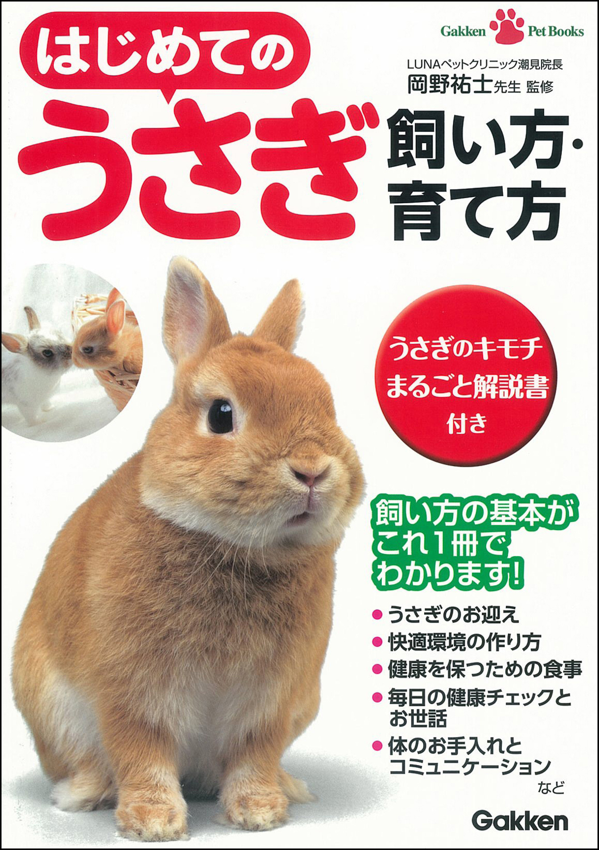はじめてのうさぎ 飼い方 育て方 漫画 無料試し読みなら 電子書籍ストア ブックライブ