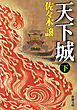 天下城（下）