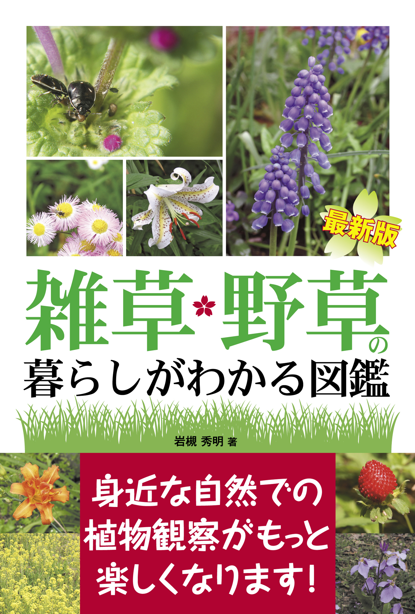 最新版 雑草・野草の暮らしがわかる図鑑 - 岩槻秀明 - 写真集・無料試し読みなら、電子書籍・コミックストア ブックライブ