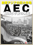 ＡＥＣ　期待と不安の発足