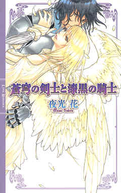 蒼穹の剣士と漆黒の騎士