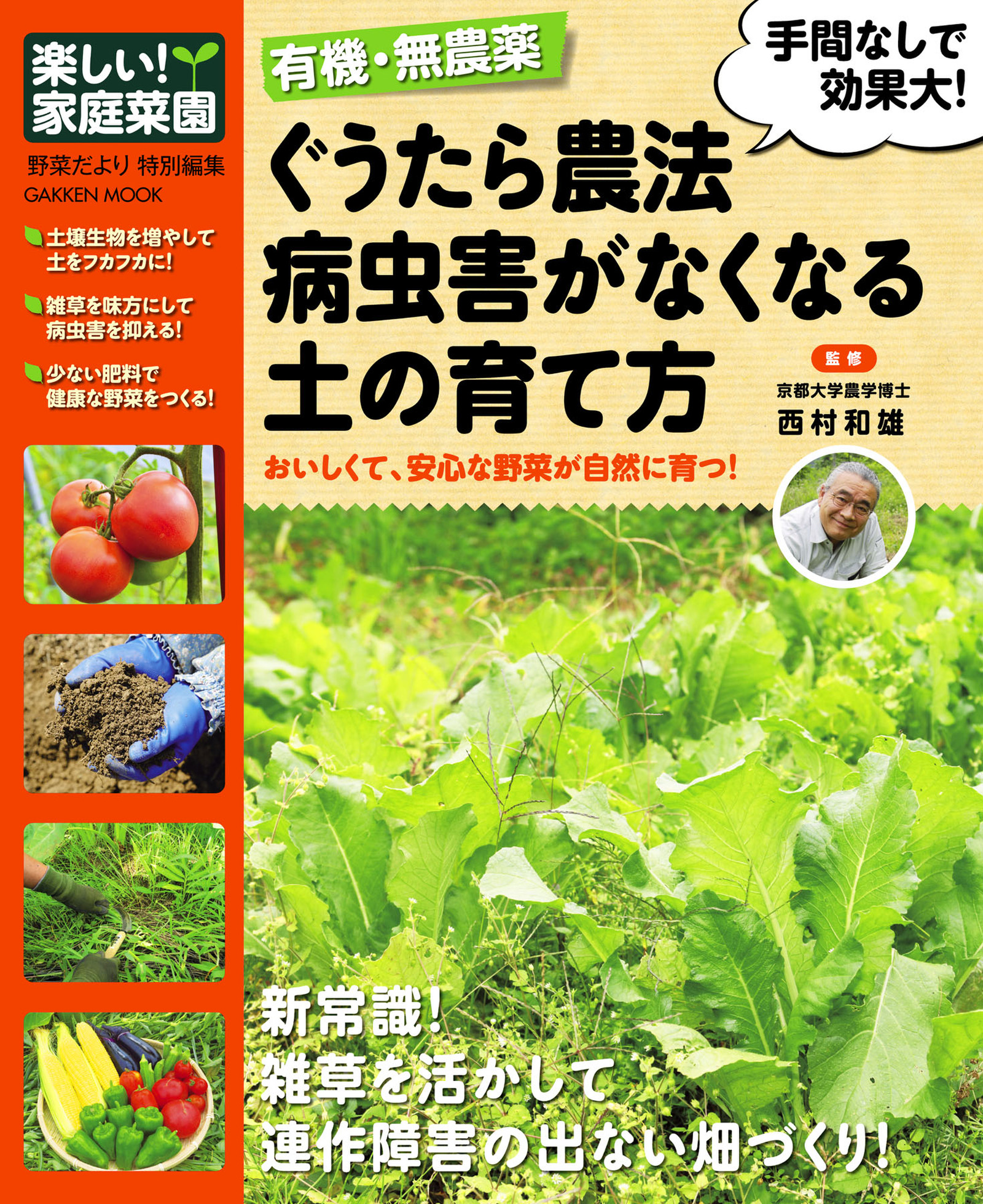 家庭菜園の新・病害虫対策 化学肥料や農薬に頼らない野菜づくり