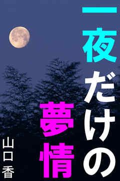 一夜だけの夢情