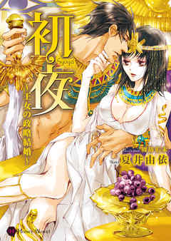 初夜～王女の政略結婚～