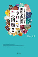 ひとりで探せる 川原や海辺のきれいな石の図鑑２