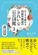 ひとりで探せる 川原や海辺のきれいな石の図鑑３　海辺篇
