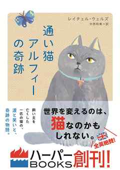 通い猫アルフィーの奇跡