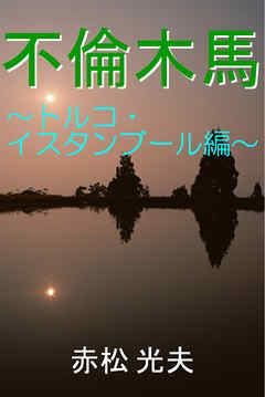 不倫木馬―トルコ・イスタンブール編―