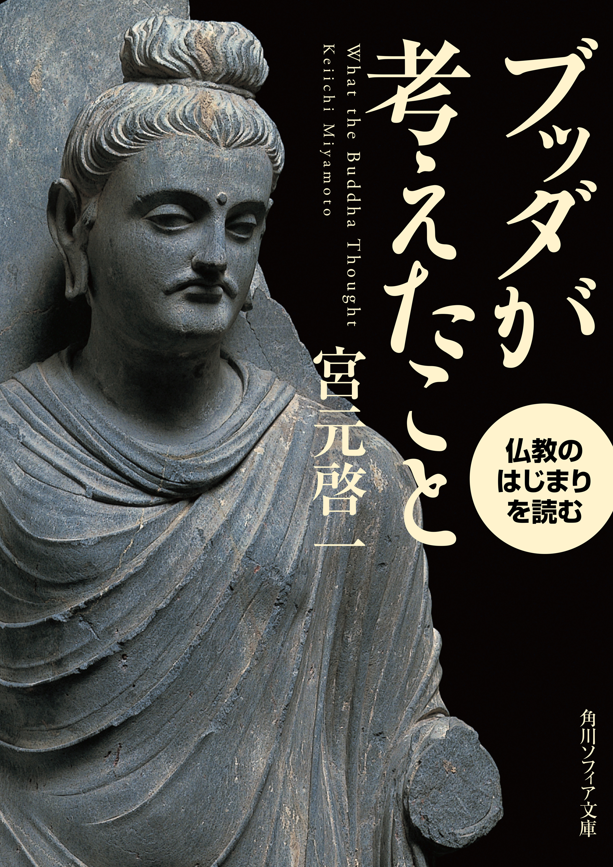 ブッダが考えたこと 仏教のはじまりを読む - 宮元啓一 - ビジネス・実用書・無料試し読みなら、電子書籍・コミックストア ブックライブ