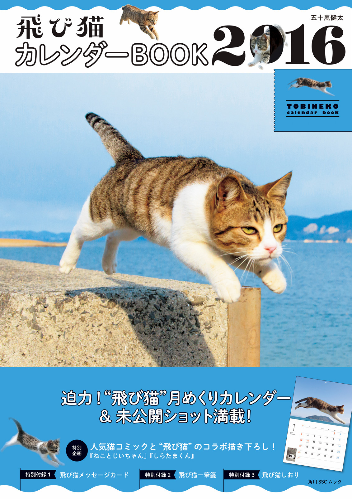 飛び猫 カレンダーbook 16 五十嵐健太 漫画 無料試し読みなら 電子書籍ストア ブックライブ