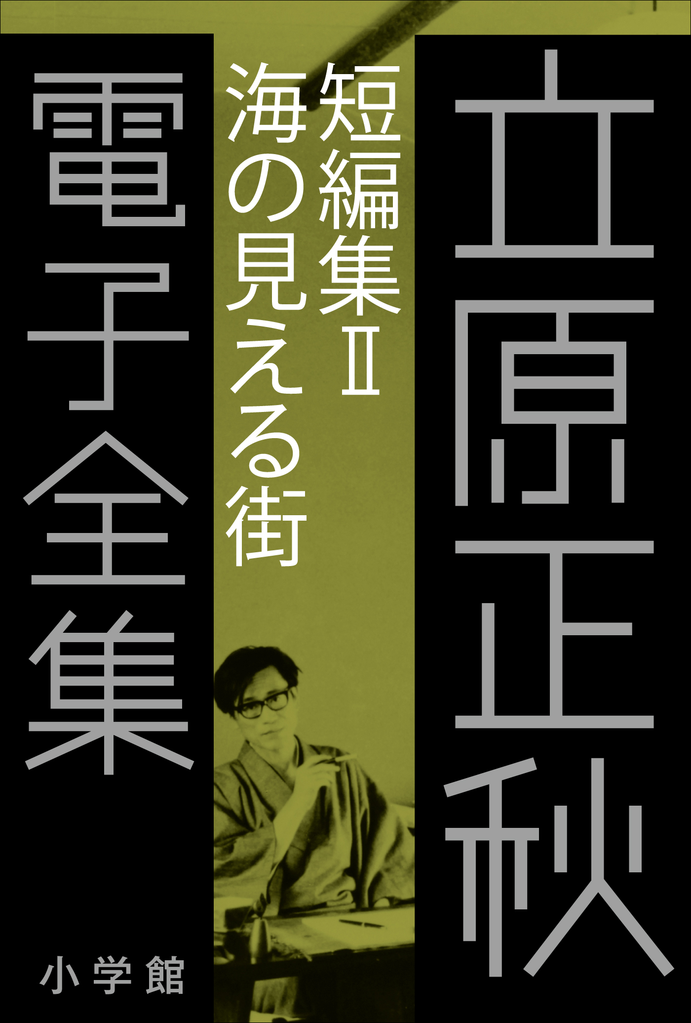 立原正秋 電子全集13 『短編集II 海の見える街』 - 立原正秋 - 小説・無料試し読みなら、電子書籍・コミックストア ブックライブ