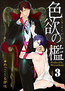 色欲の檻（3）