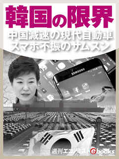 韓国の限界