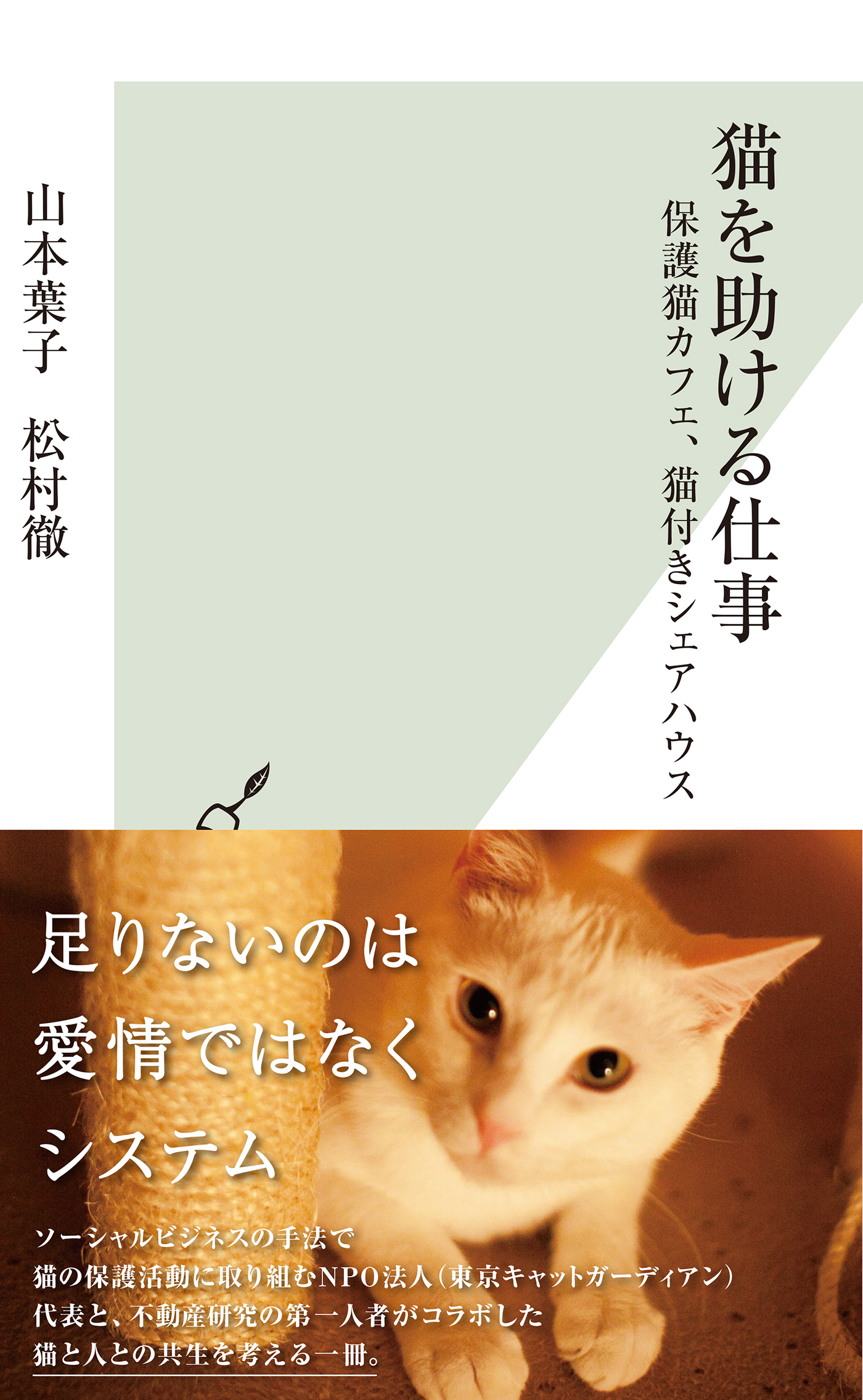 猫を助ける仕事 保護猫カフェ 猫付きシェアハウス 山本葉子 松村徹 漫画 無料試し読みなら 電子書籍ストア ブックライブ