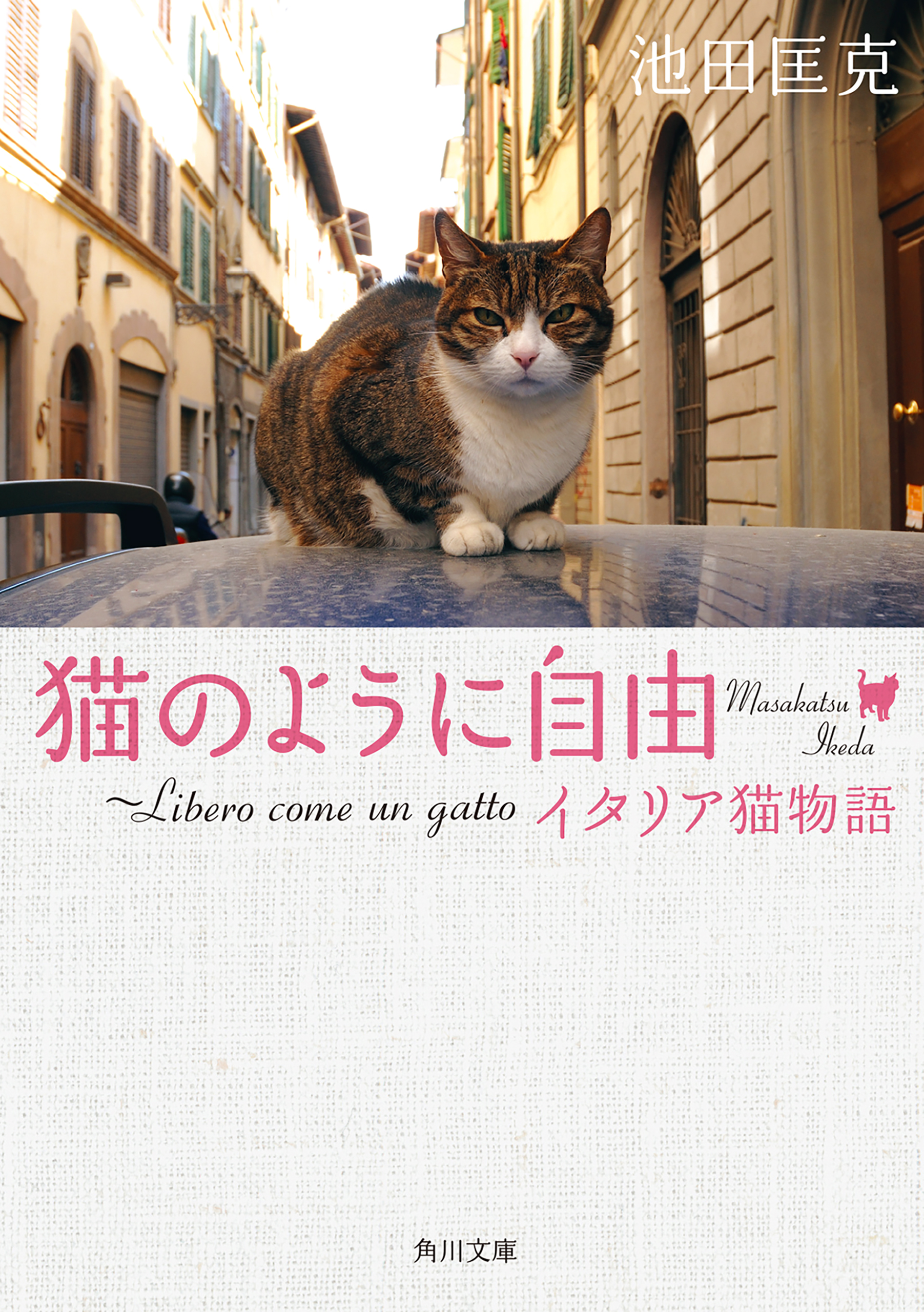 猫のように自由 ～Ｌｉｂｅｒｏ ｃｏｍｅ ｕｎ ｇａｔｔｏ イタリア猫