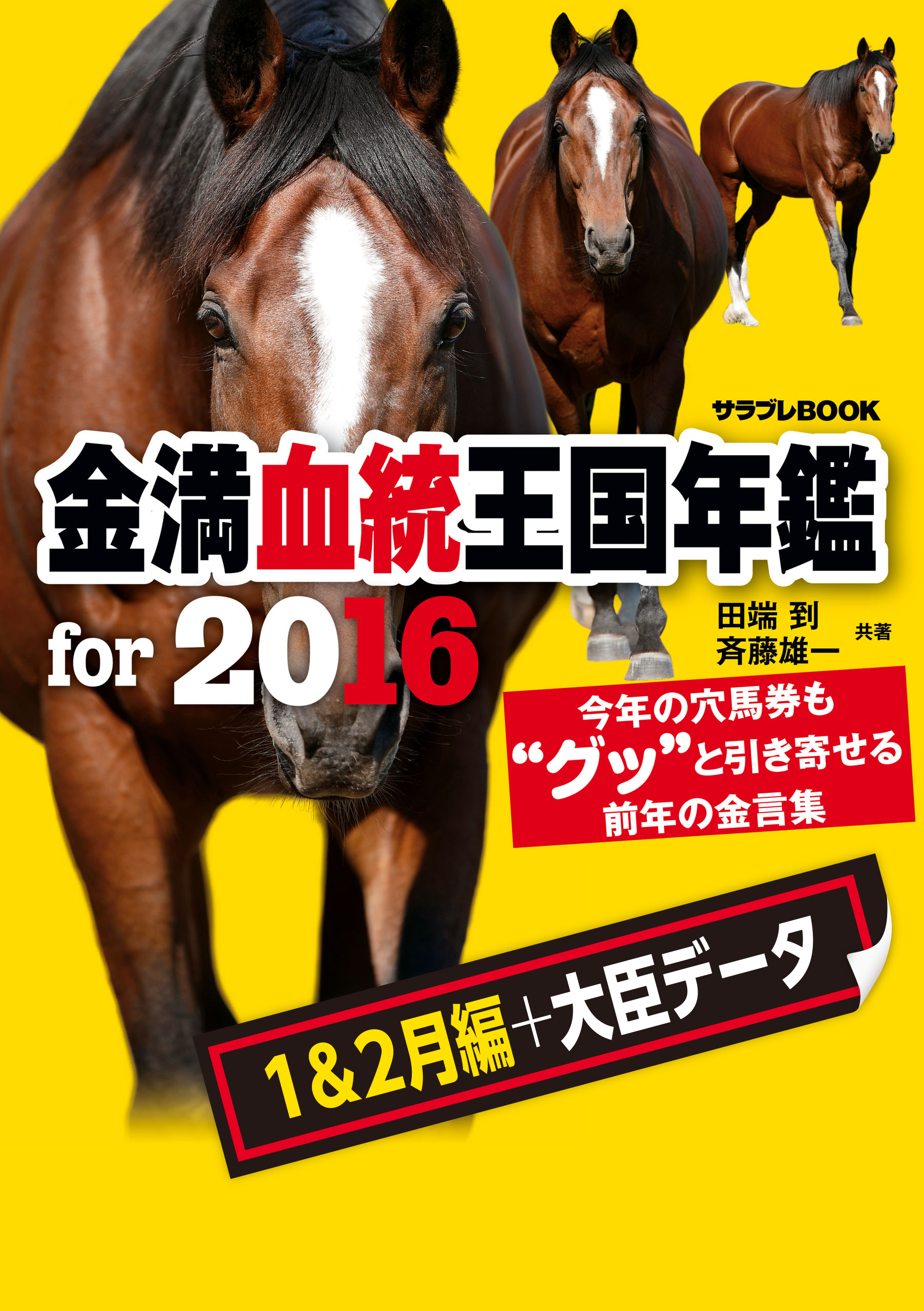 金満血統王国年鑑 For 16 1 2月編 大臣データ 漫画 無料試し読みなら 電子書籍ストア Booklive