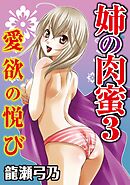 姉の肉蜜【分冊版】3　愛欲の悦び