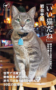 ヤマケイ新書　「いい猫だね」