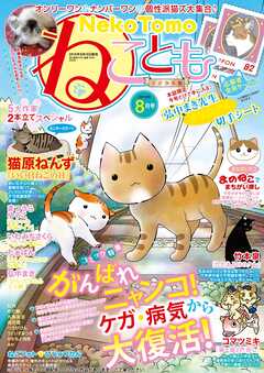 ねこともvol.38