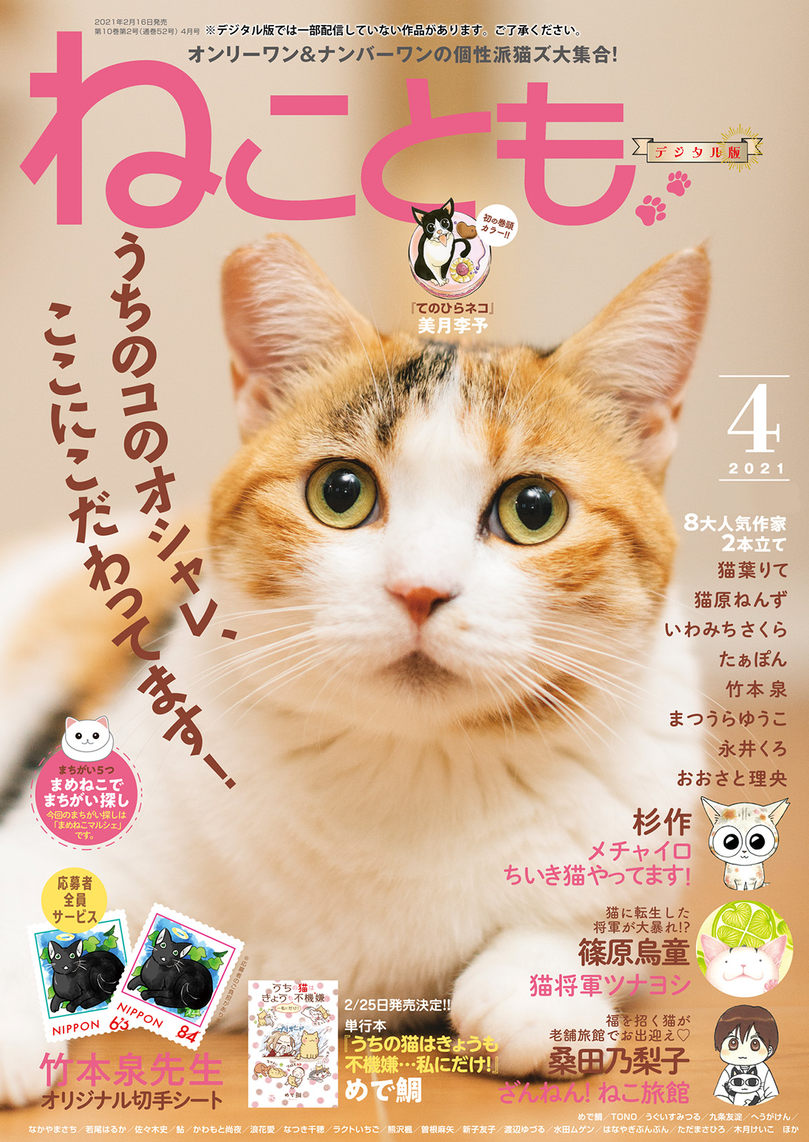 ねことも Vol 72 最新刊 漫画 無料試し読みなら 電子書籍ストア ブックライブ