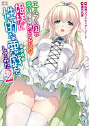 エルフの国の宮廷魔導師になれたので姫様に性的な悪戯をしてみた2