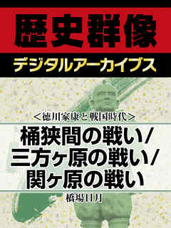 ＜徳川家康と戦国時代＞桶狭間の戦い/三方ヶ原の戦い/関ヶ原の戦い